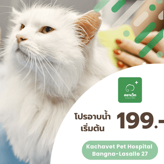 🛁 โปรโมชั่นอาบน้ำสุดคุ้ม!