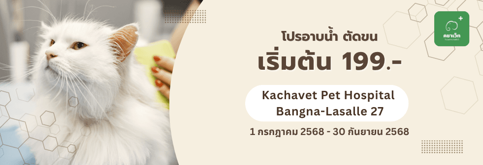 Coupon banner