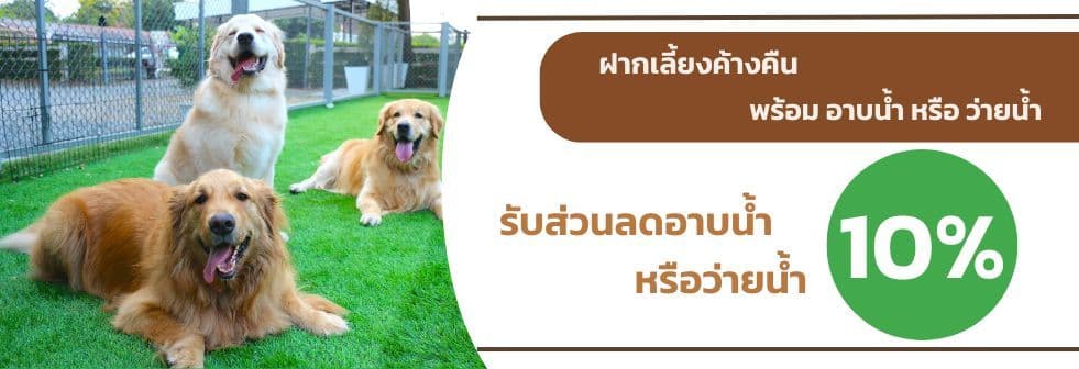 Coupon banner