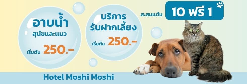 Coupon banner