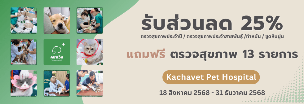 Coupon banner
