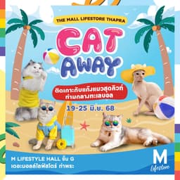 THE MALL LIFESTORE THAPRA CATAWAY 🐈🐾