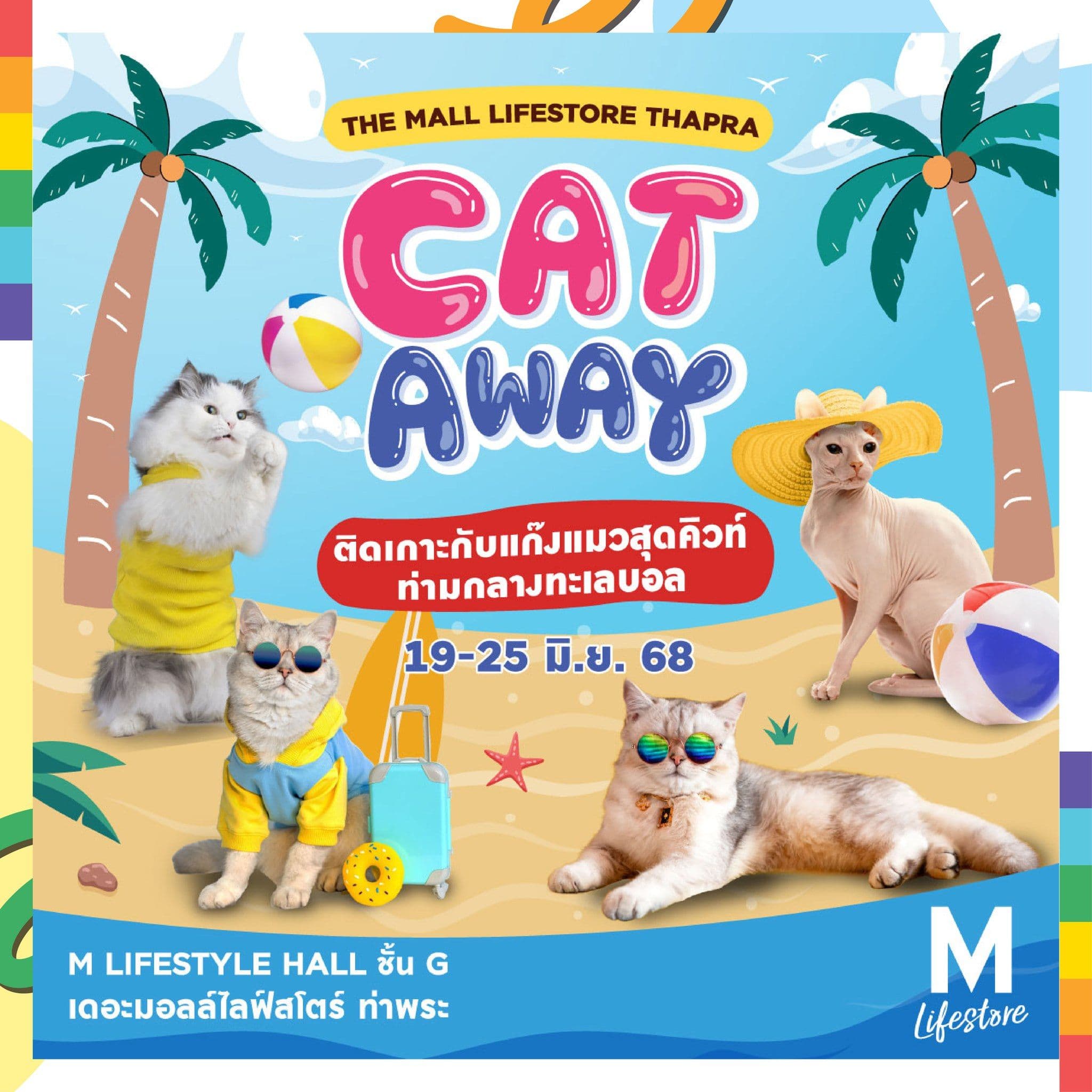 THE MALL LIFESTORE THAPRA CATAWAY 🐈🐾