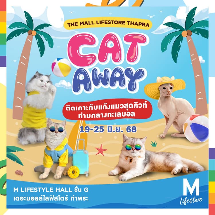 THE MALL LIFESTORE THAPRA CATAWAY 🐈🐾