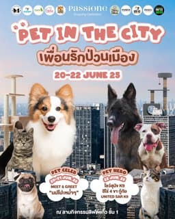 PET IN THE CITY เพื่อนรักป่วนเมือง!