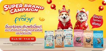 TEST COUPONS 1