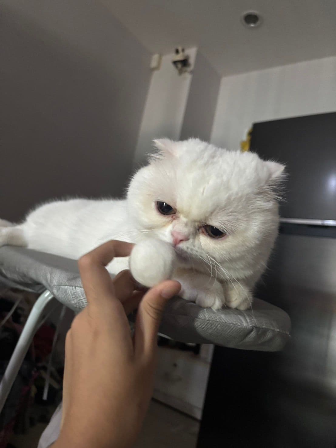 ice testtttttttttttttttststrfdfgdgfdg