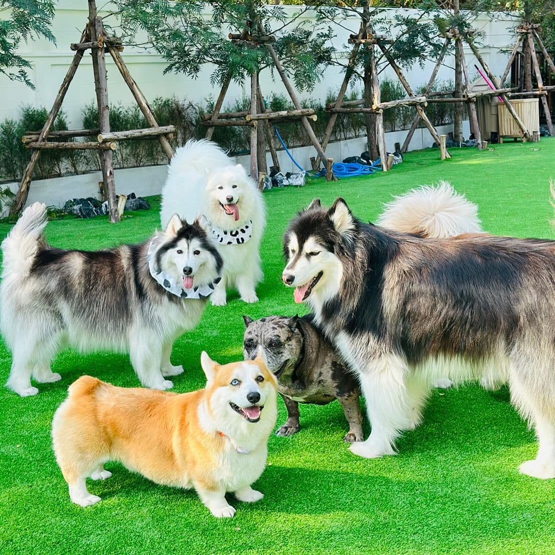 GUSSY CAMP image 3