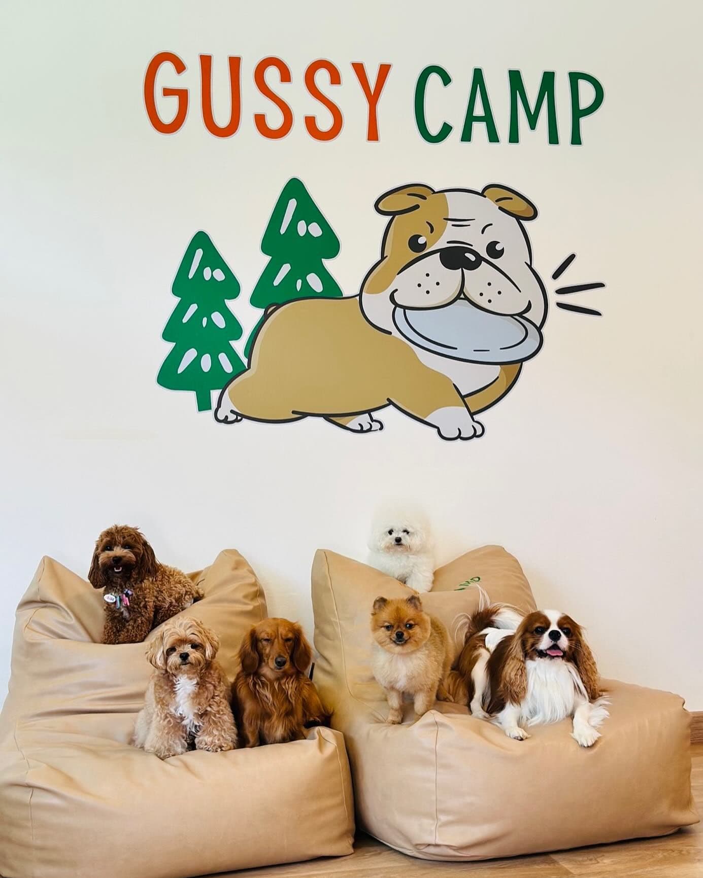 GUSSY CAMP image 2