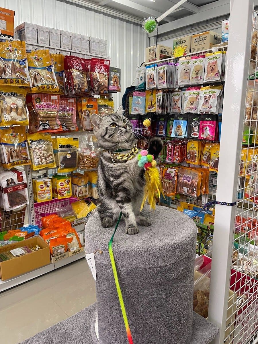 PP PET MART image 2