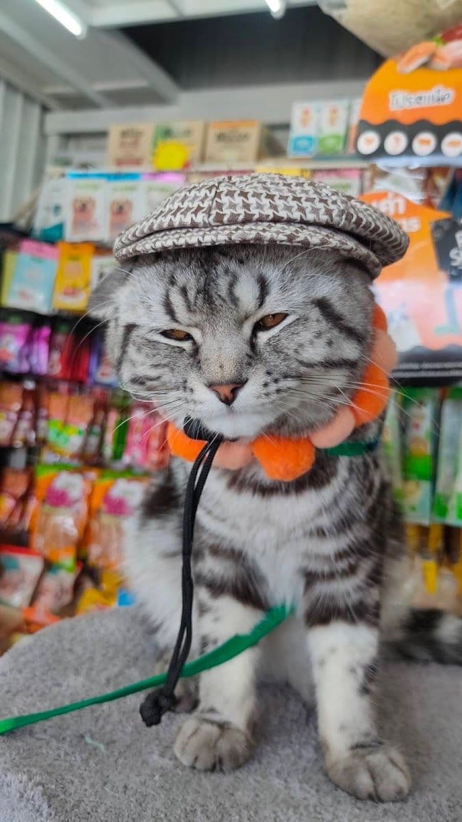 PP PET MART gallery 4