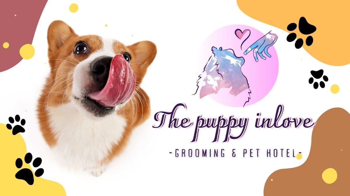 The Puppy Inlove