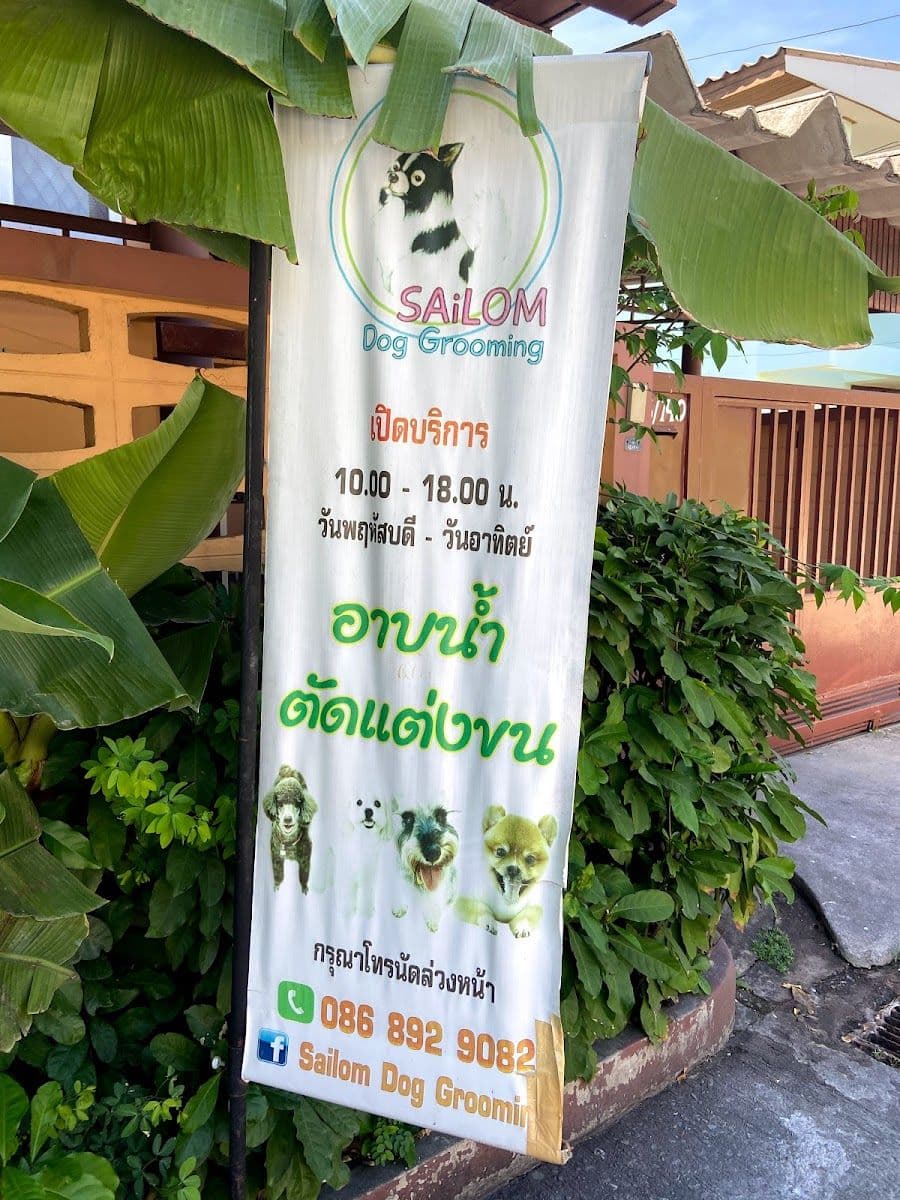 Sailom dog grooming image 2