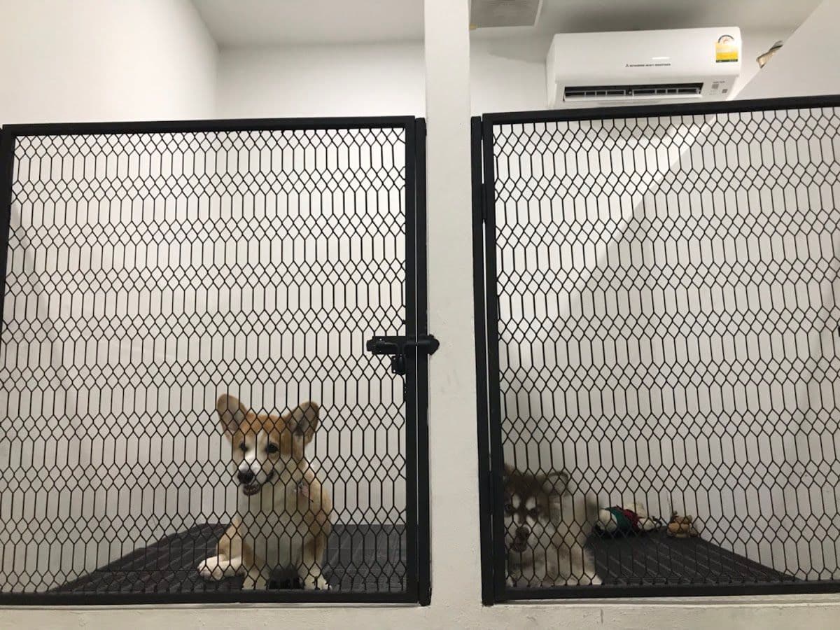The Nine Animal Hospital gallery 4