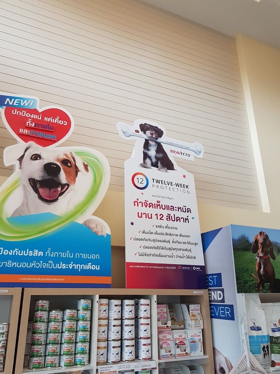 Grand Avenue Pet Hospital gallery 4