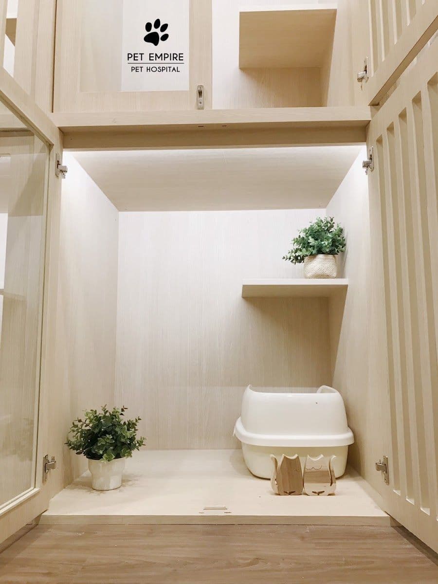 โรงพยาบาลสัตว์เพ็ทเอ็มไพร gallery 5