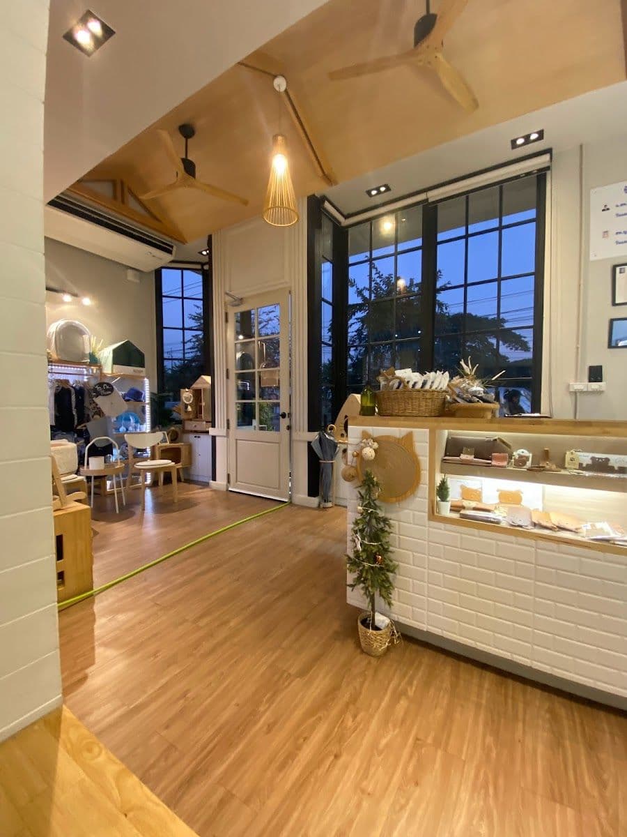 โรงพยาบาลสัตว์เพ็ทเอ็มไพร gallery 4
