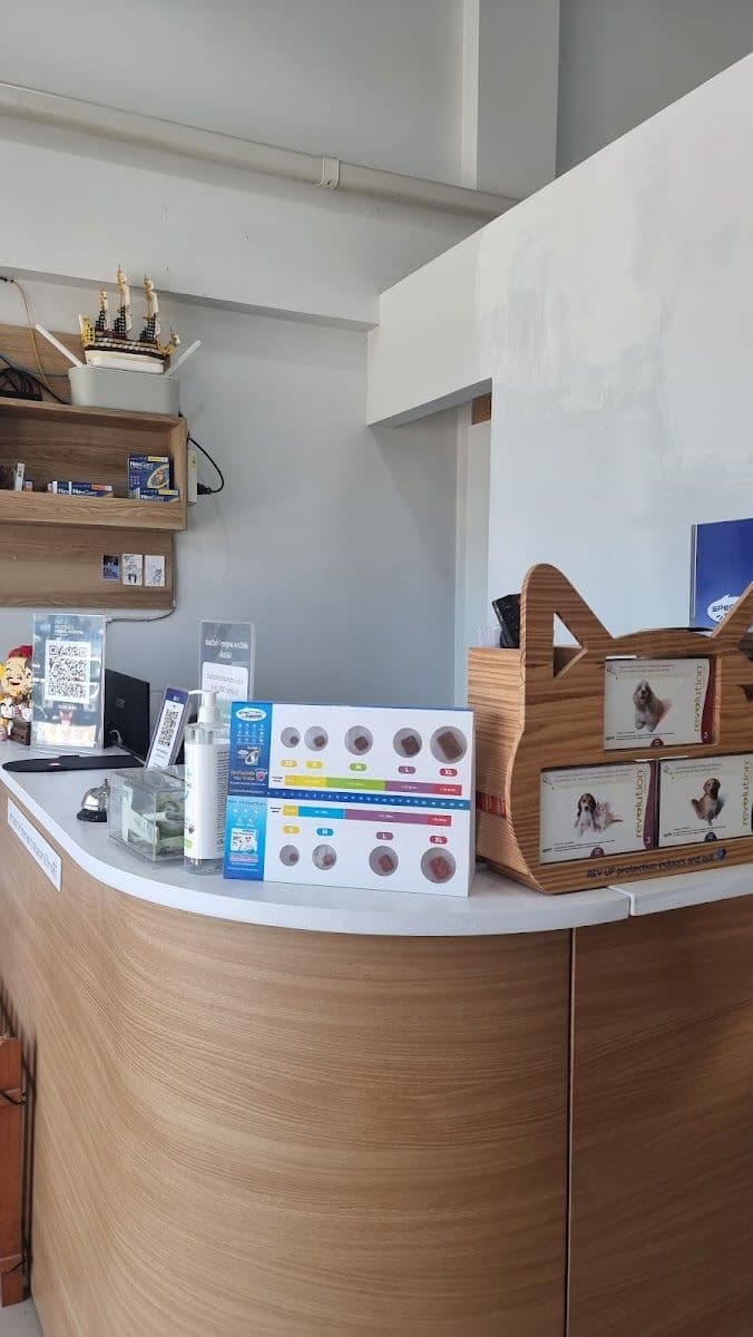 โรงพยาบาลสัตว์เพ็ทบัดดี้ gallery 4