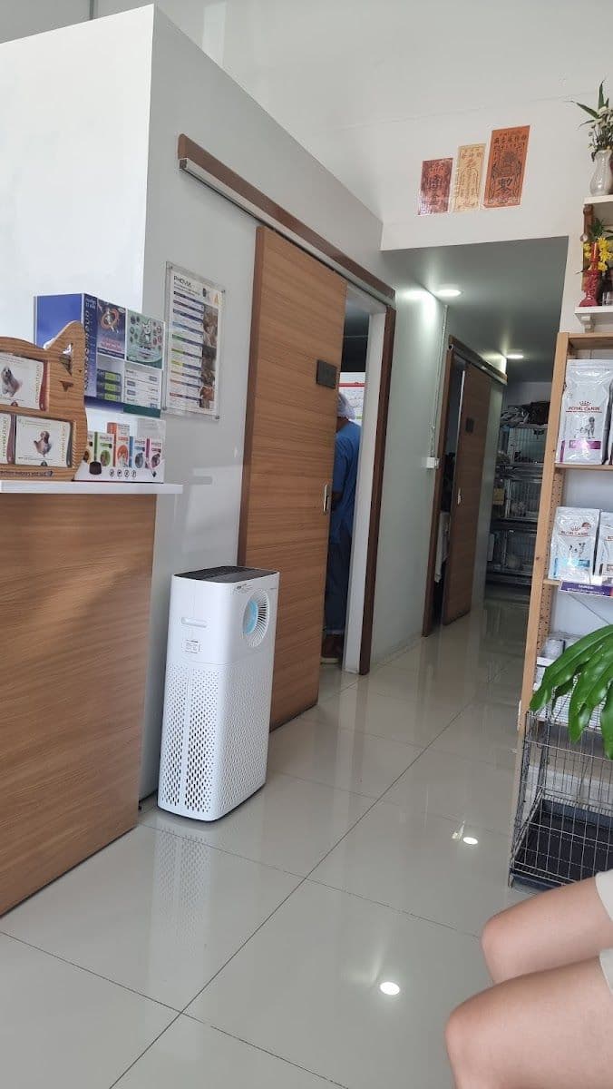 โรงพยาบาลสัตว์เพ็ทบัดดี้ gallery 5