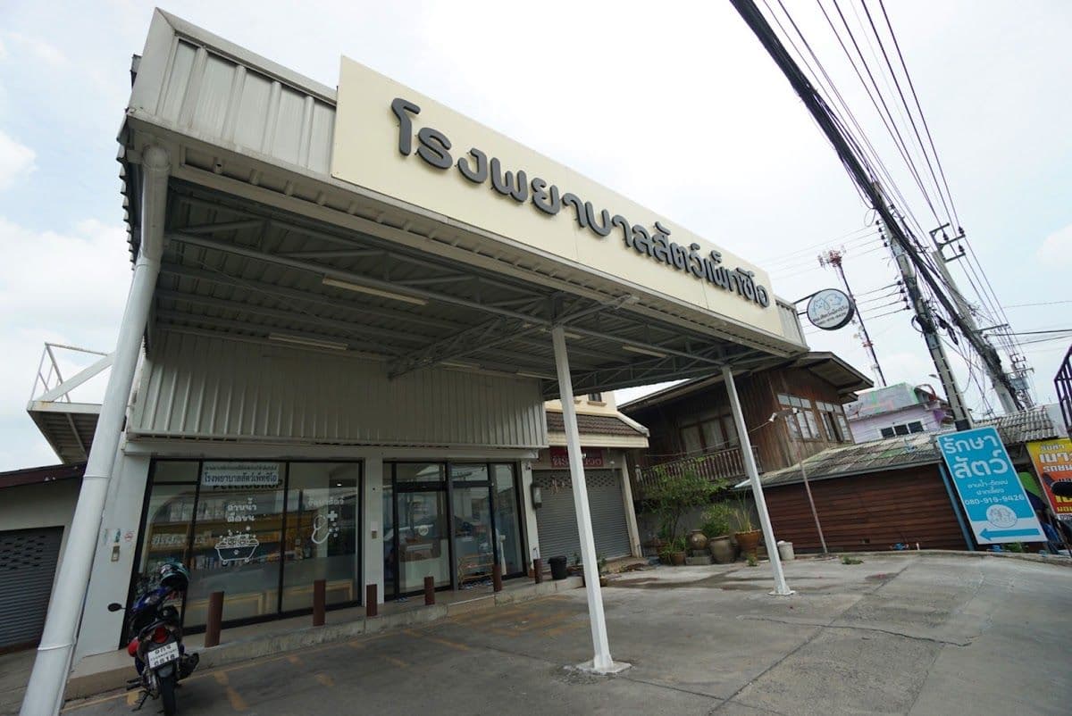 โรงพยาบาลสัตว์เพ็ทซิโอ : gallery 4
