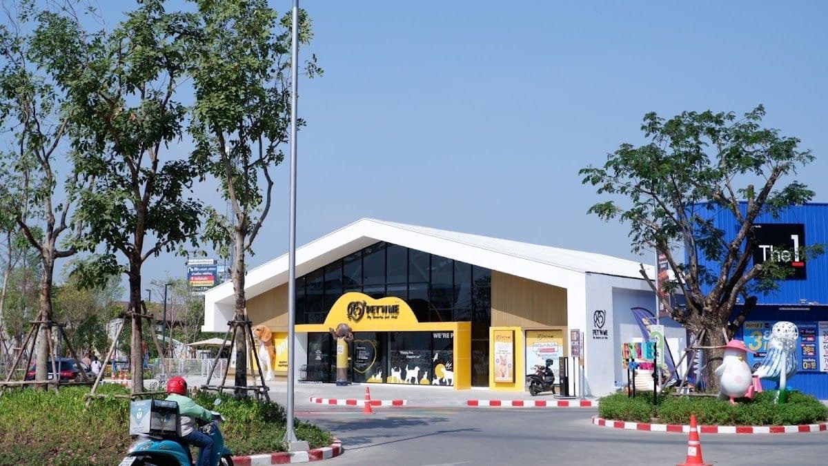 PET 'N ME สาขาโรบินสันไลฟ์สไตล์ gallery 4