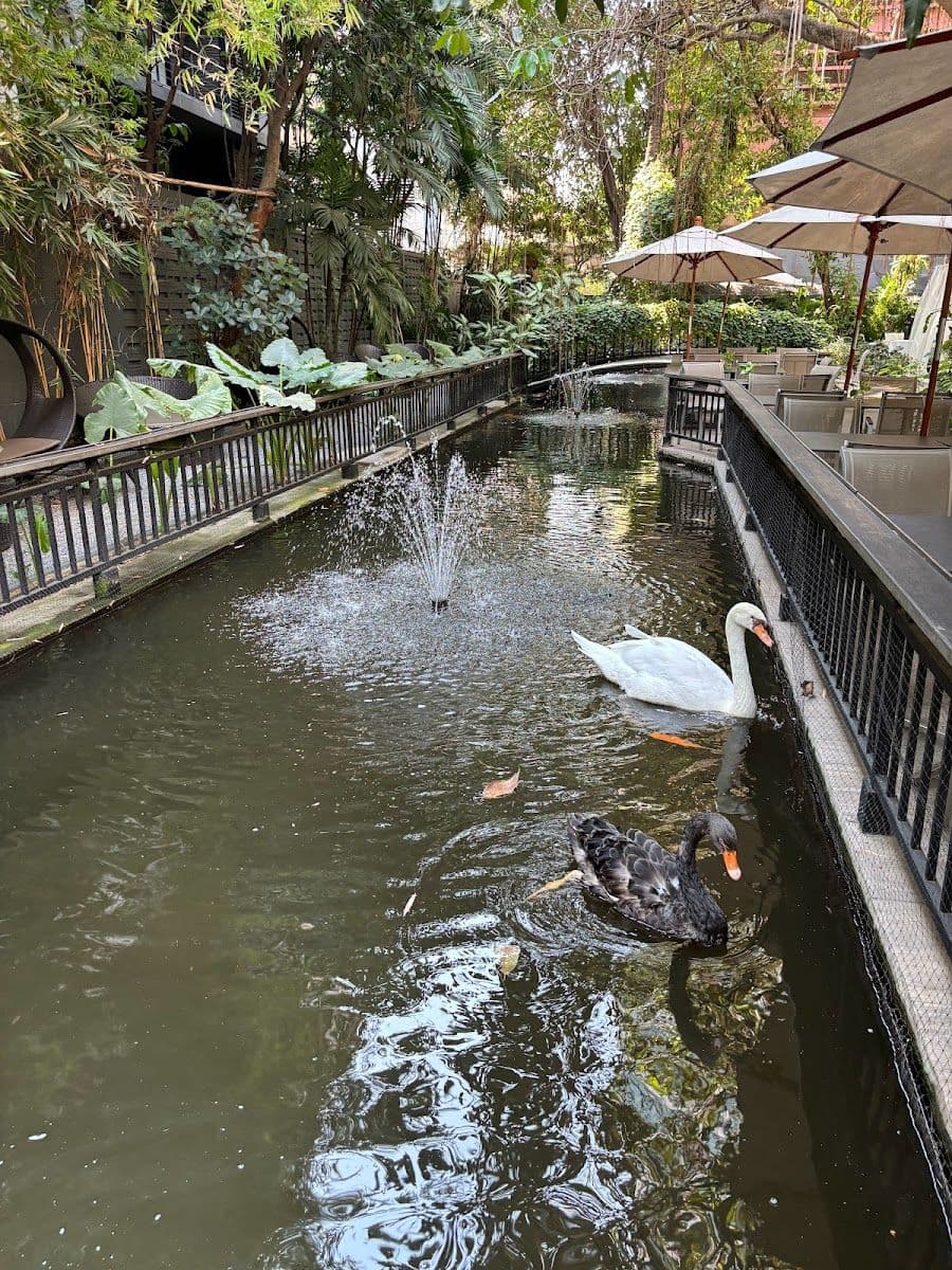 The Gardens of Dinsor Palace gallery 9