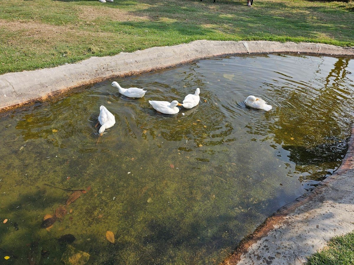 Barakat Lunla Land gallery 7