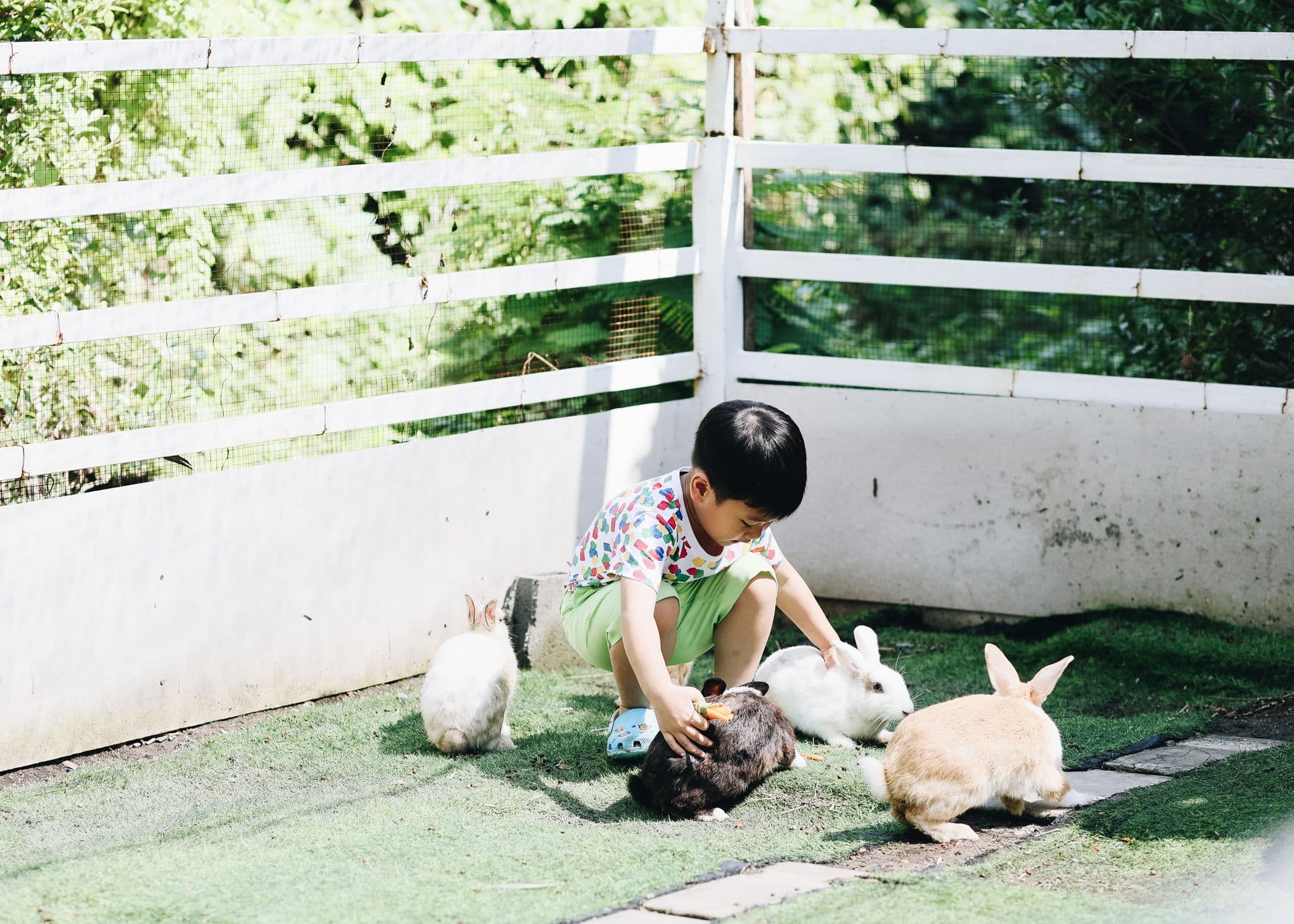 Moori Moori Playfarm image 3