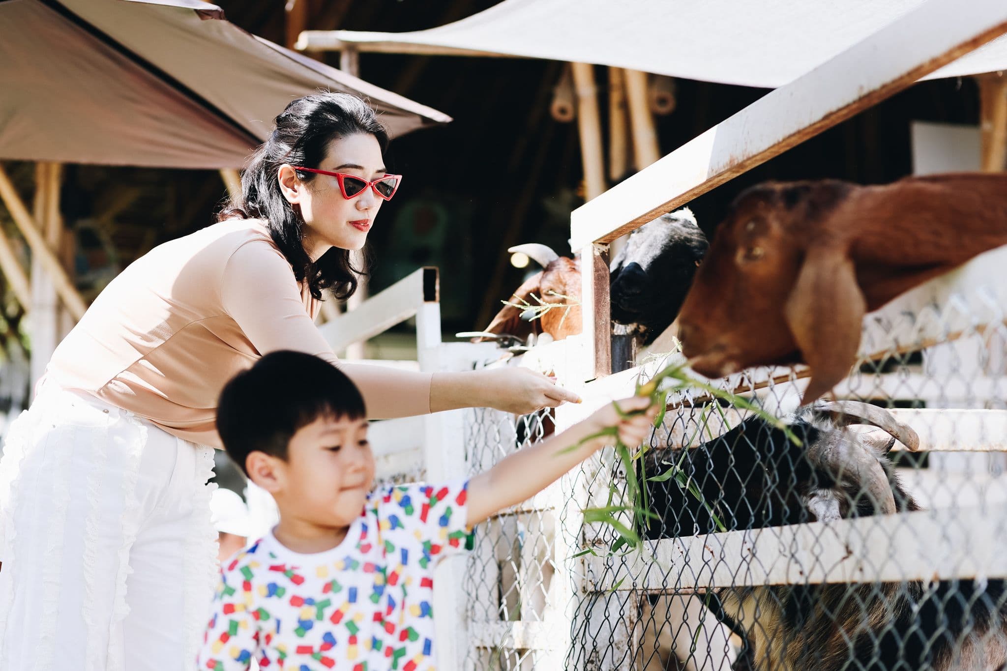 Moori Moori Playfarm gallery 4