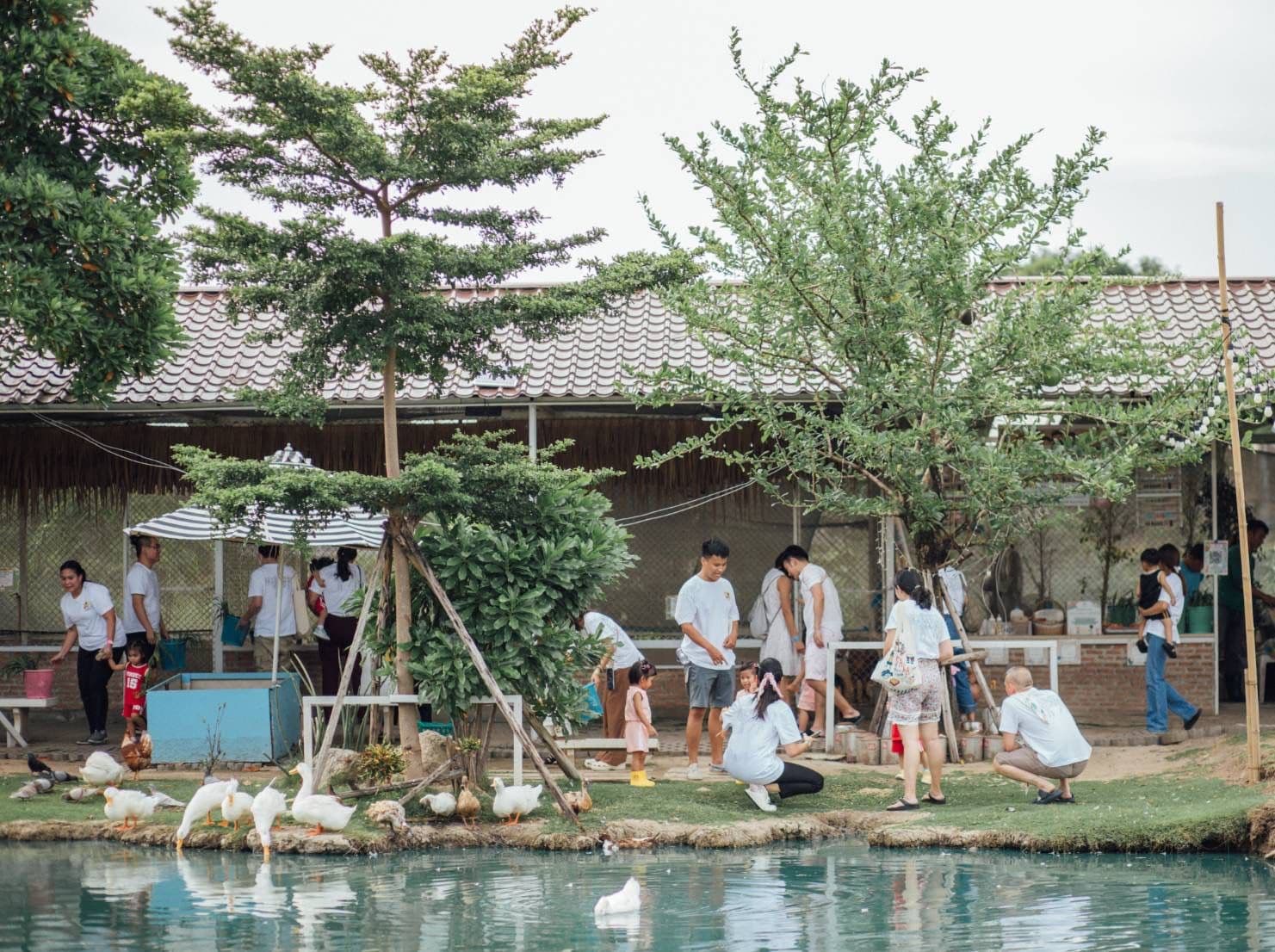 Moori Moori Playfarm