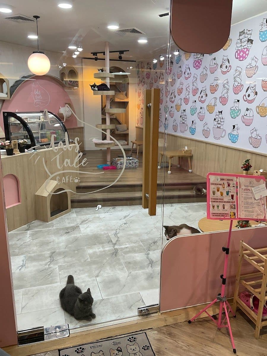 Catstale Cafe gallery 4