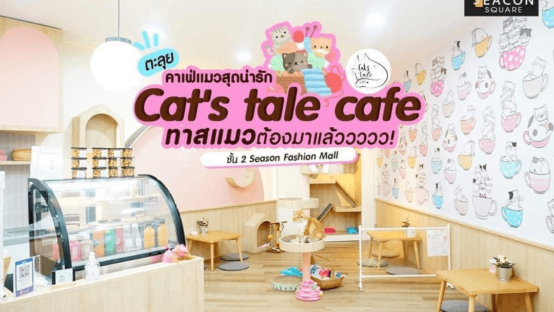 Catstale Cafe