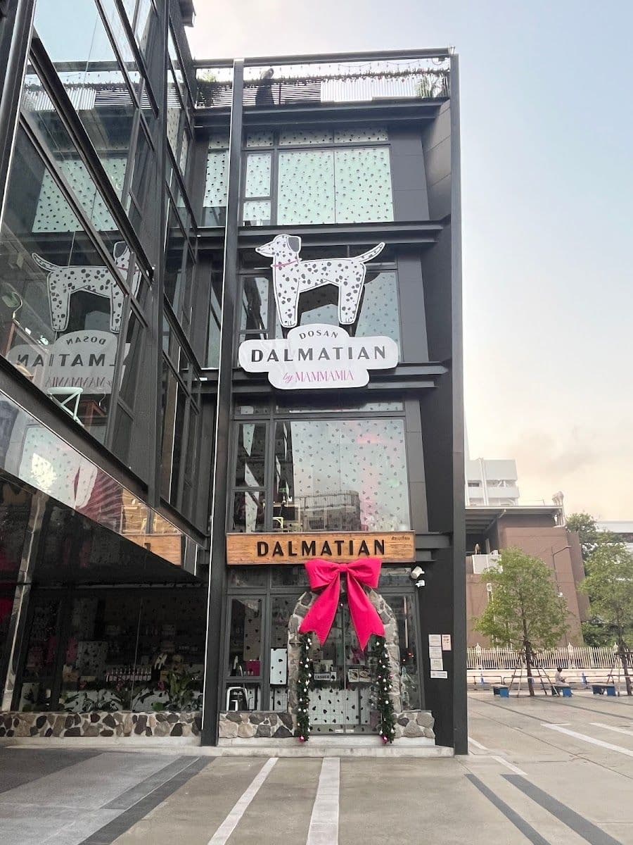 dalmatianth gallery 5