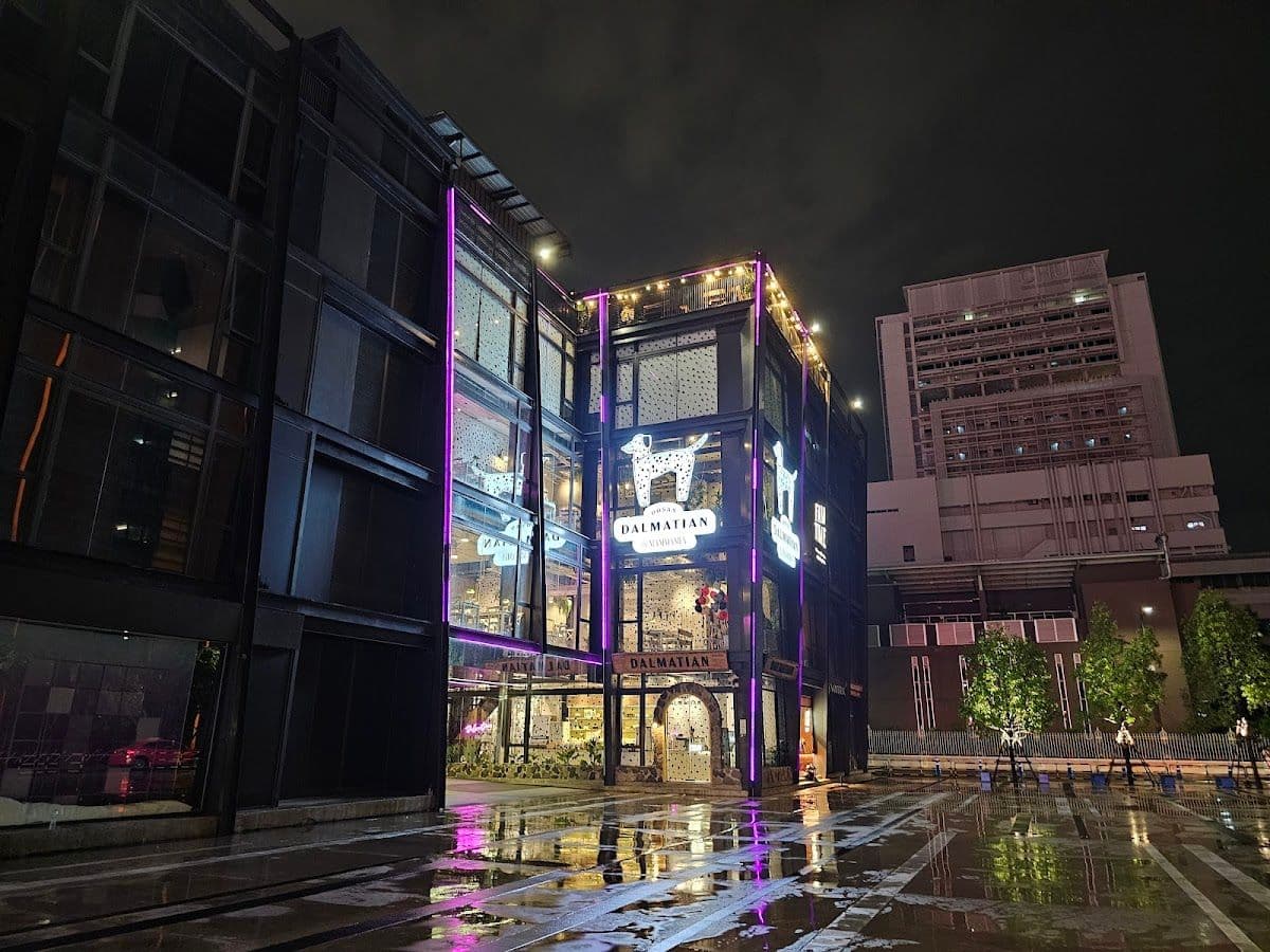 dalmatianth gallery 7