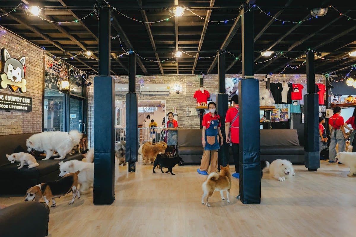 Dog Country Cafe gallery 7