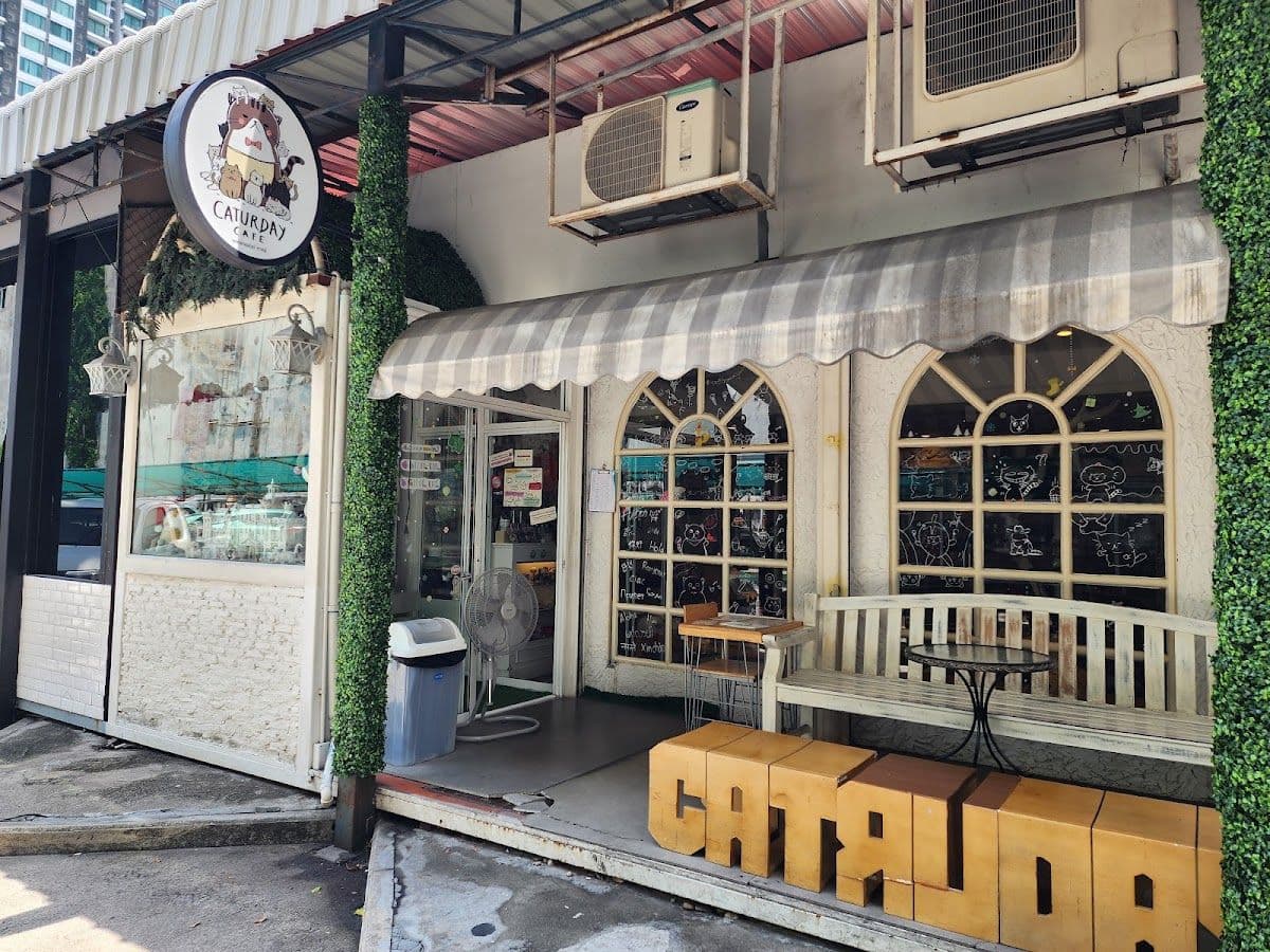 Caturday Cat Cafe gallery 4