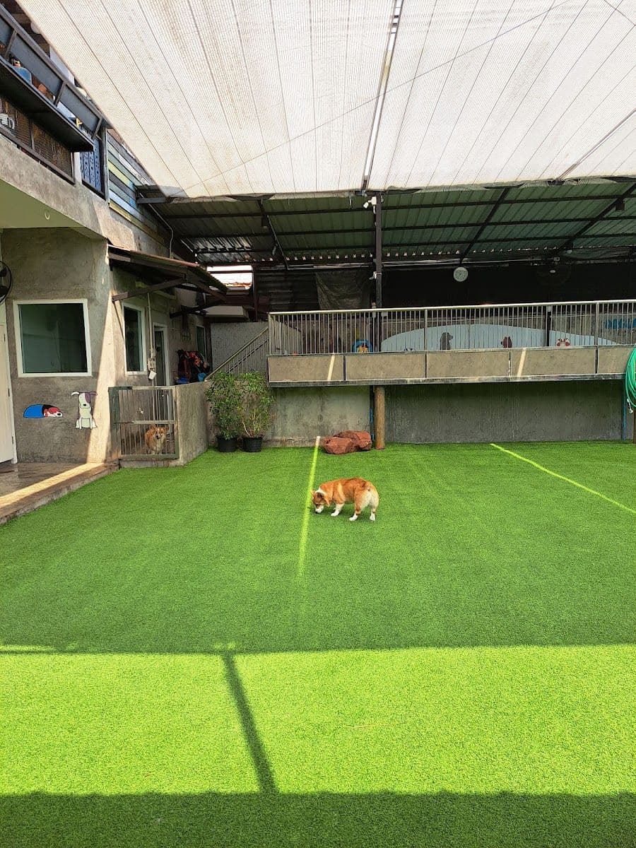 Dogland Gold Grooming & Resort
