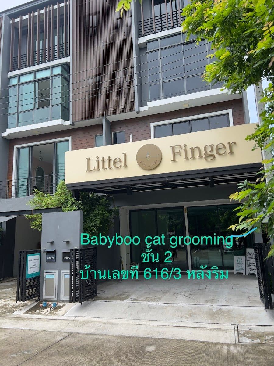 Babyboo cat grooming gallery 7