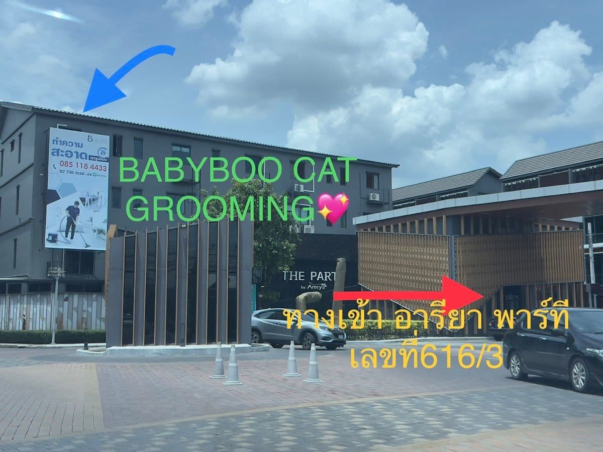 Babyboo cat grooming image 3