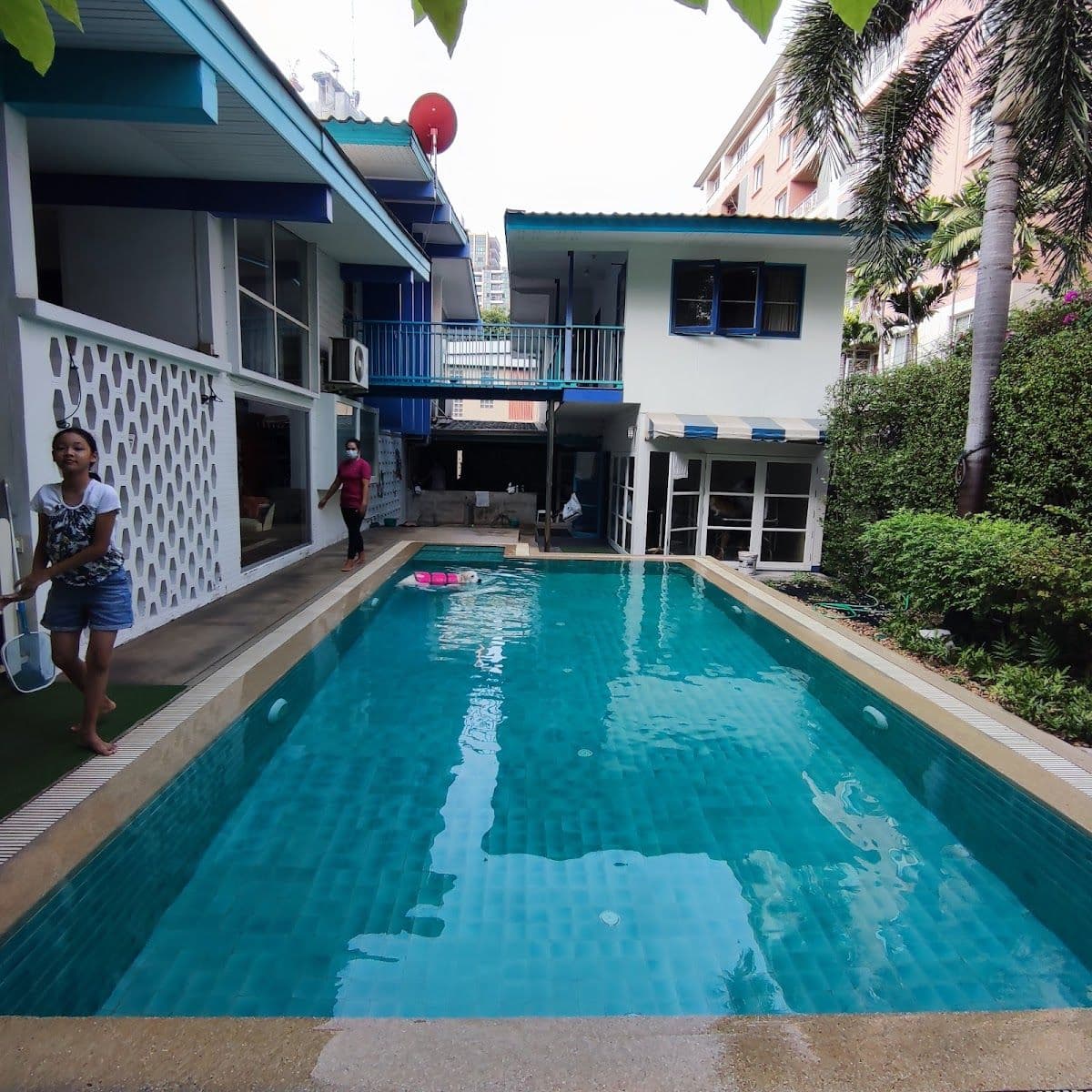 iTube dog swimming pool gallery 6