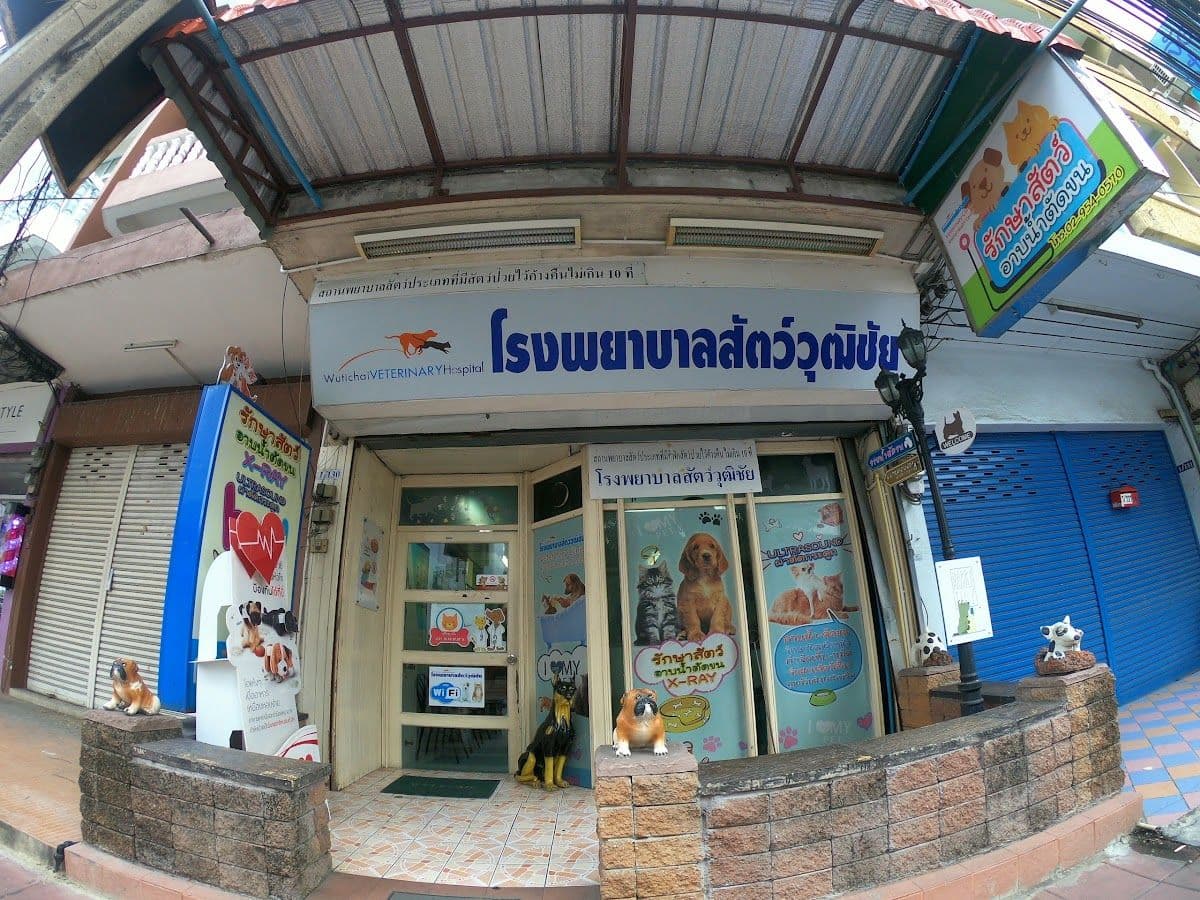โรงพยาบาลสัตว์วุฒิชัย gallery 4
