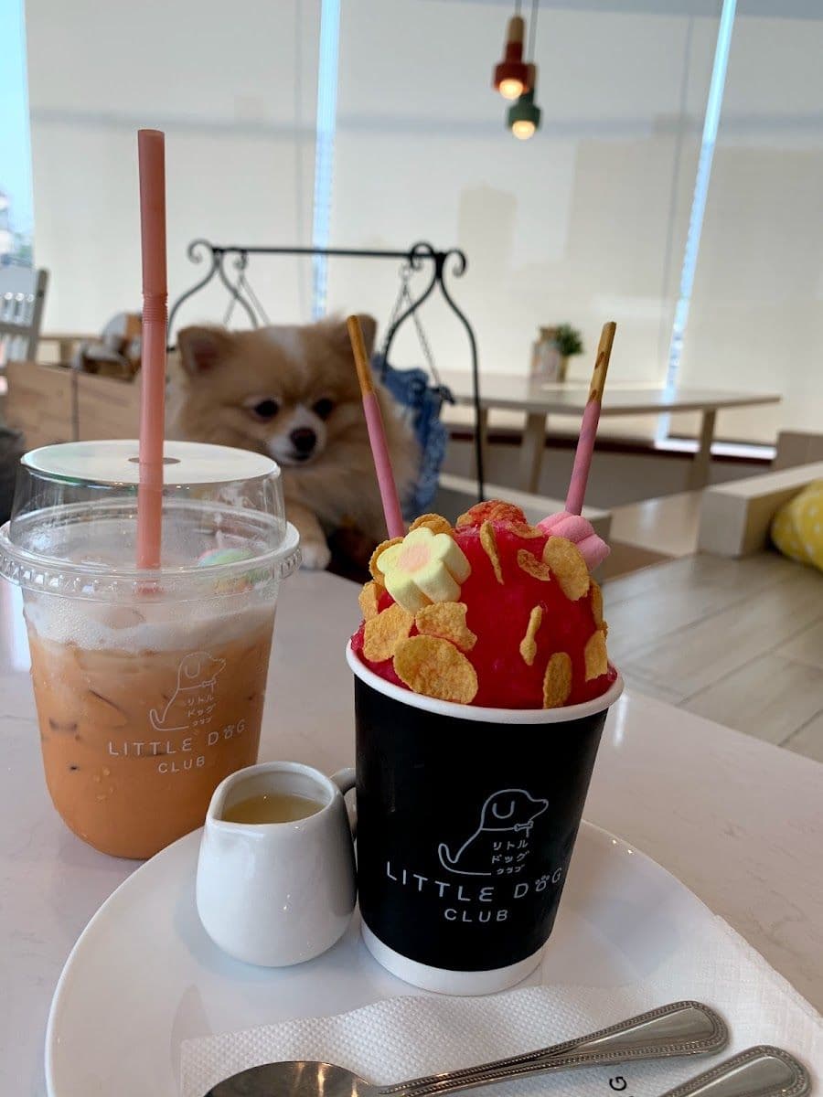 Little Dog Club gallery 5