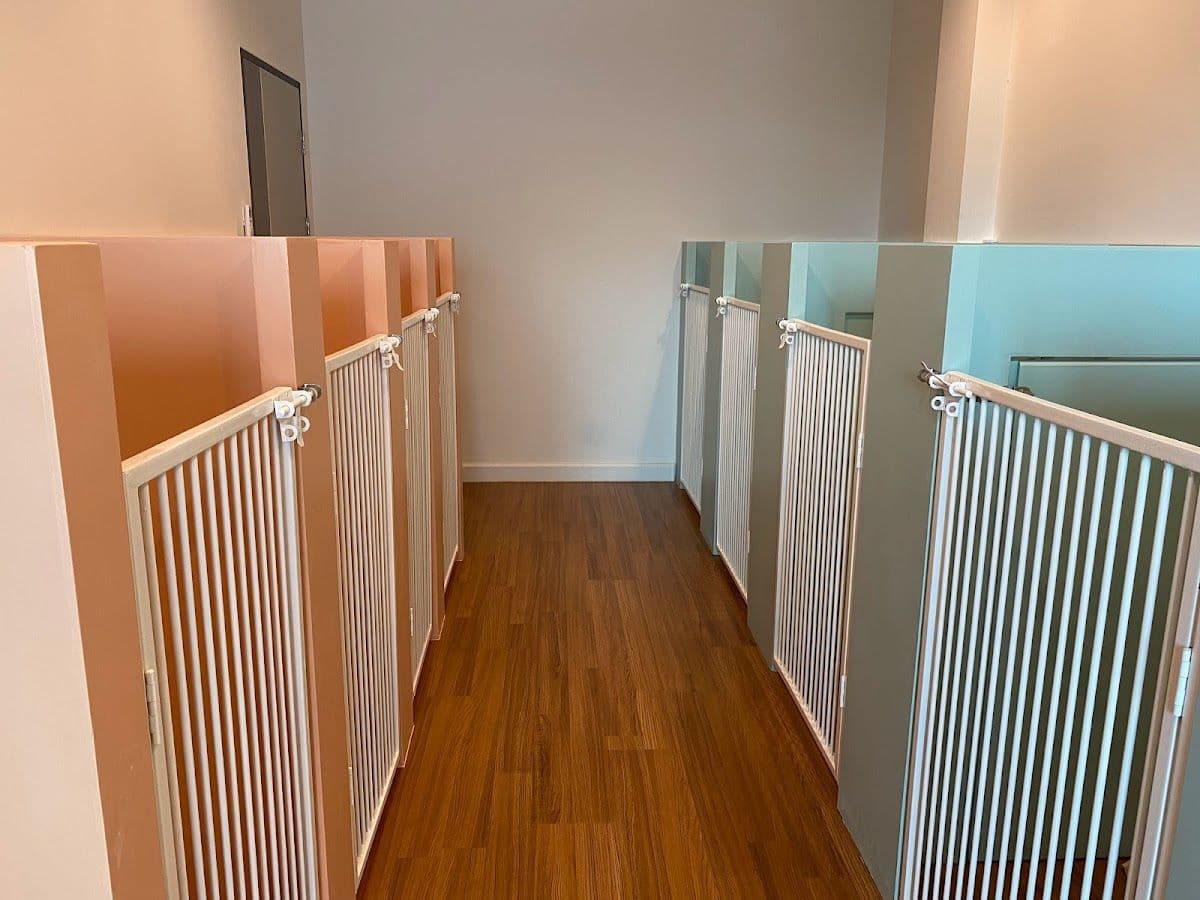 Pet Relax gallery 5