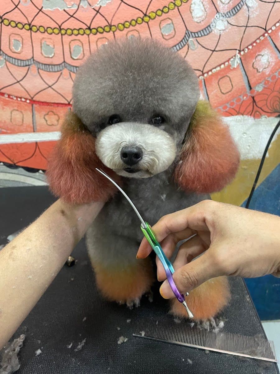 Love Love Dog Grooming  78 image 2