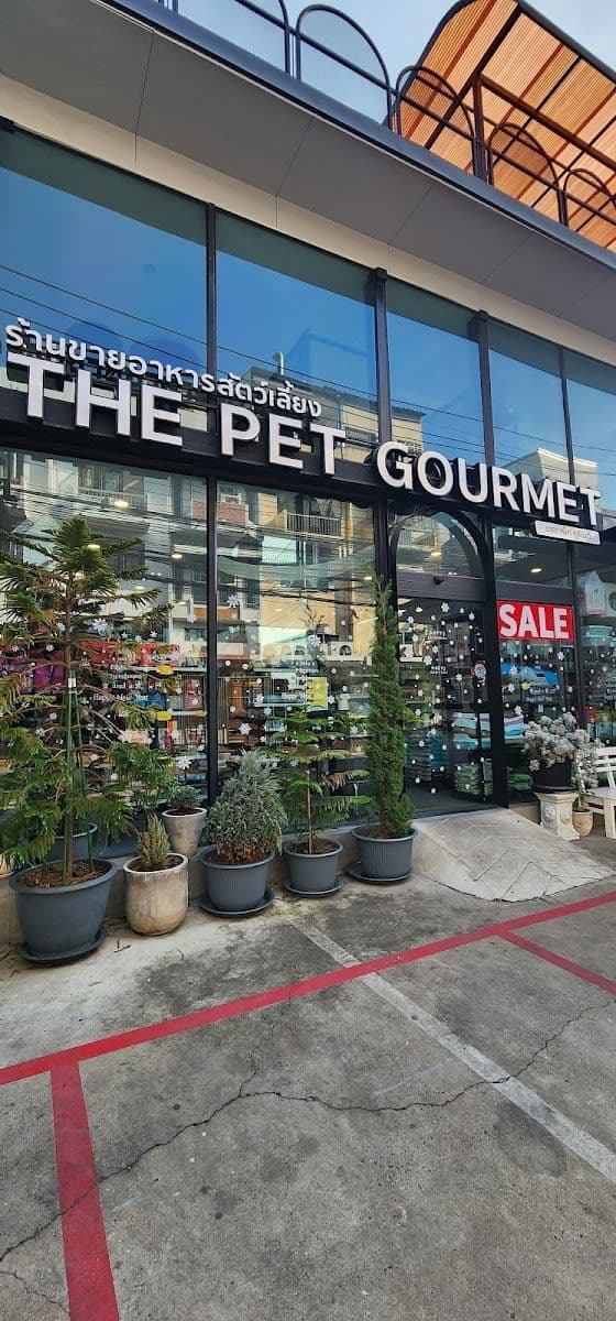 The Dog Hotel BKK gallery 4