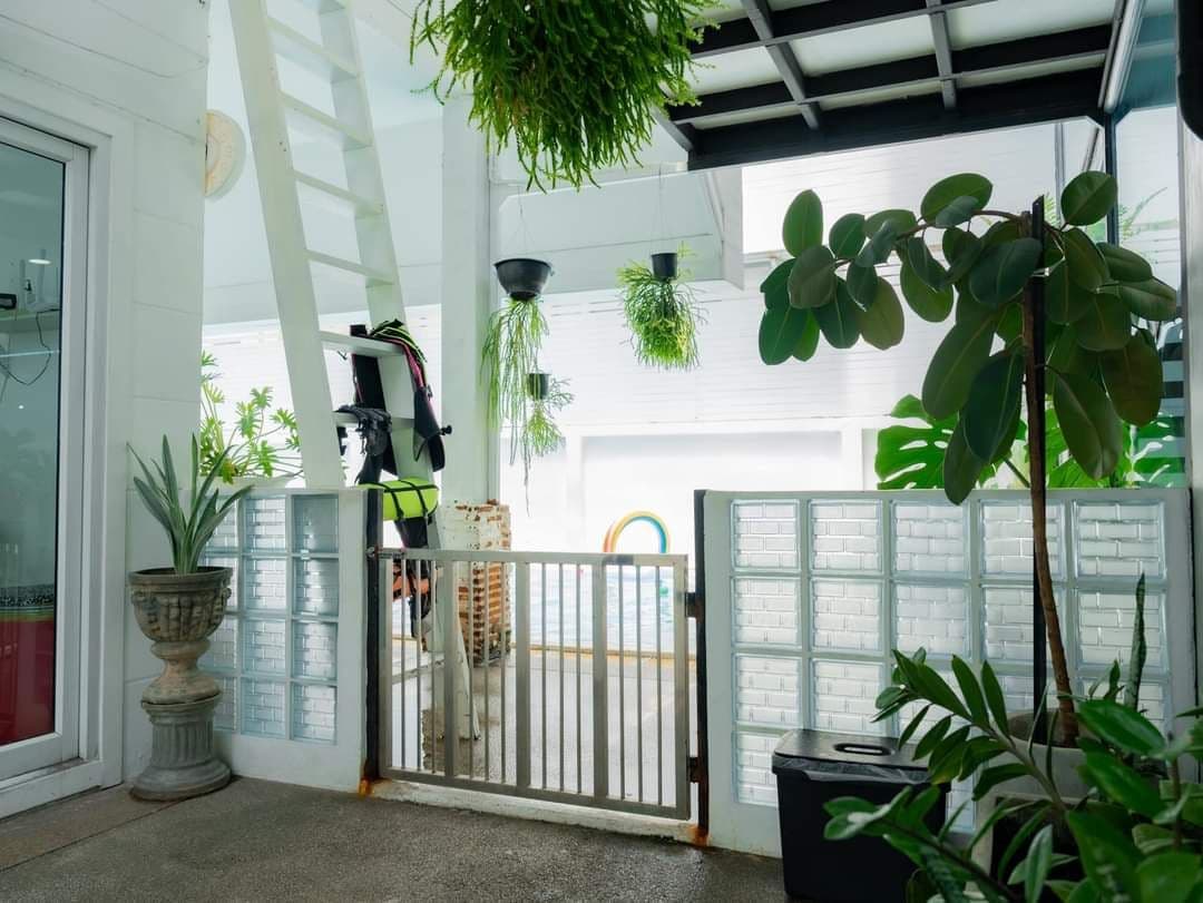 The Dog Hotel BKK image 3