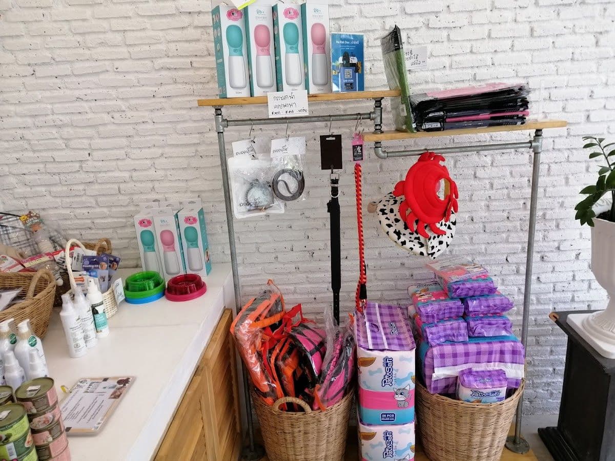 The Dog Hotel BKK gallery 7