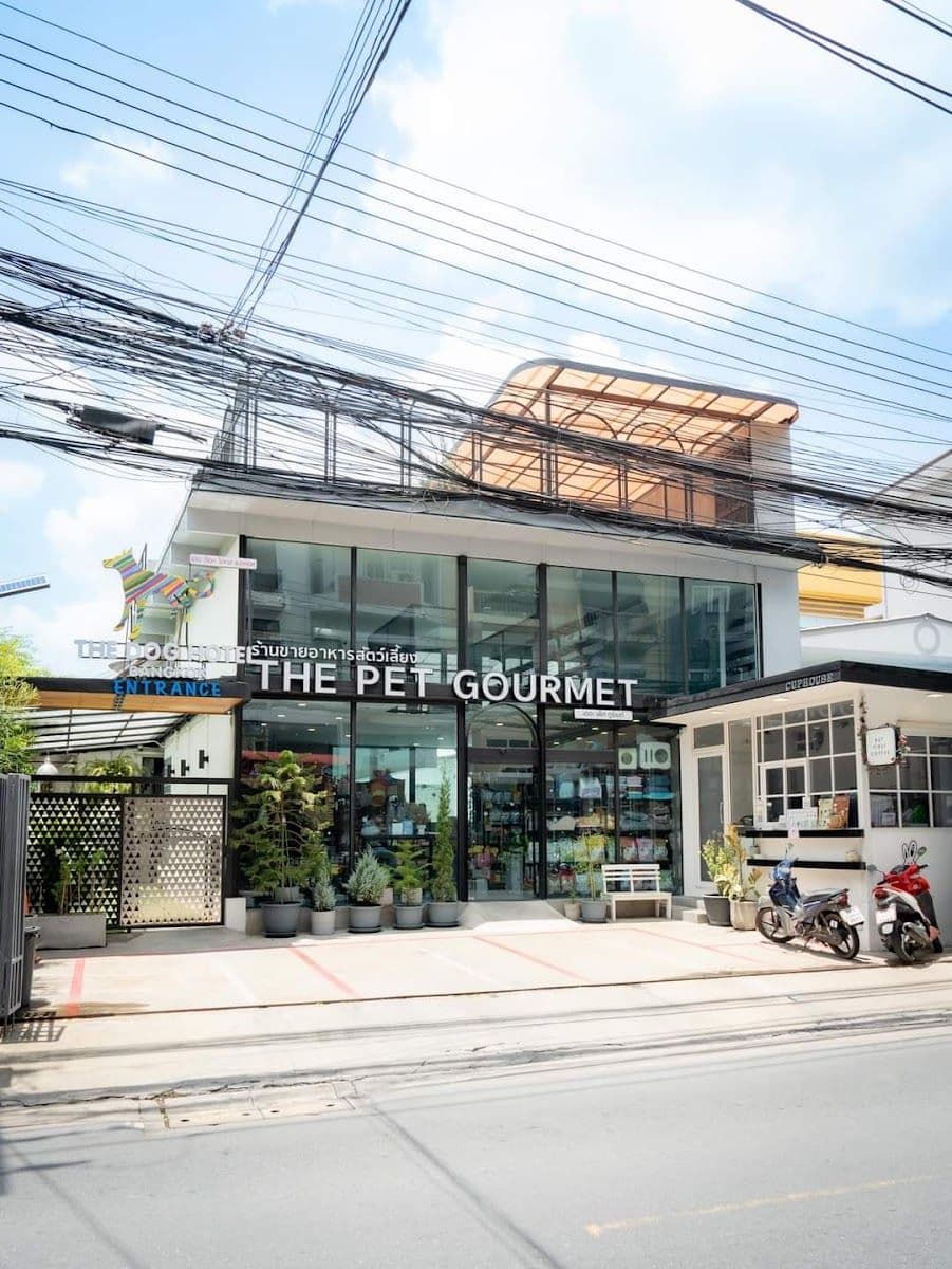 The Dog Hotel BKK gallery 6