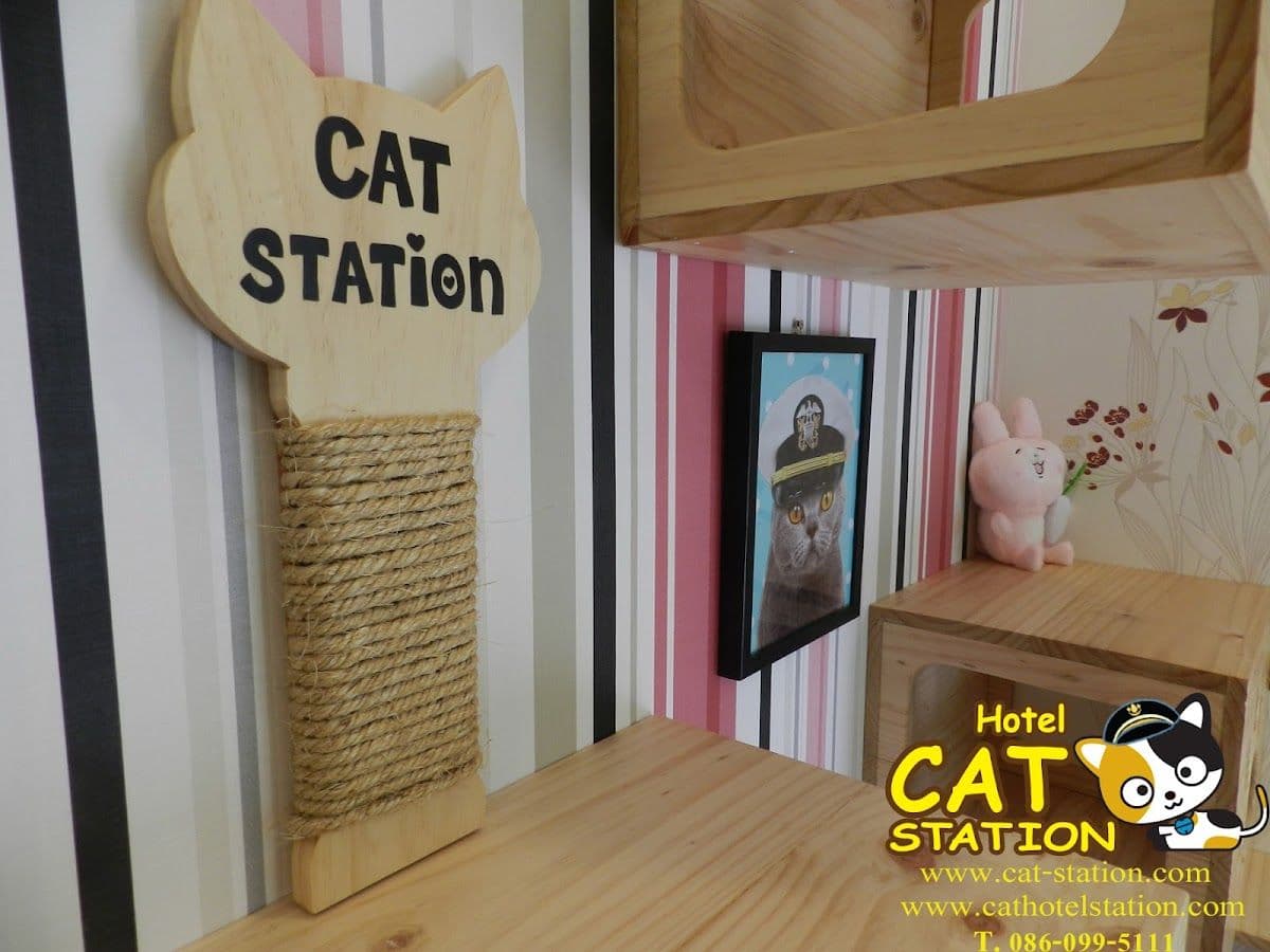 Cat Station image 2