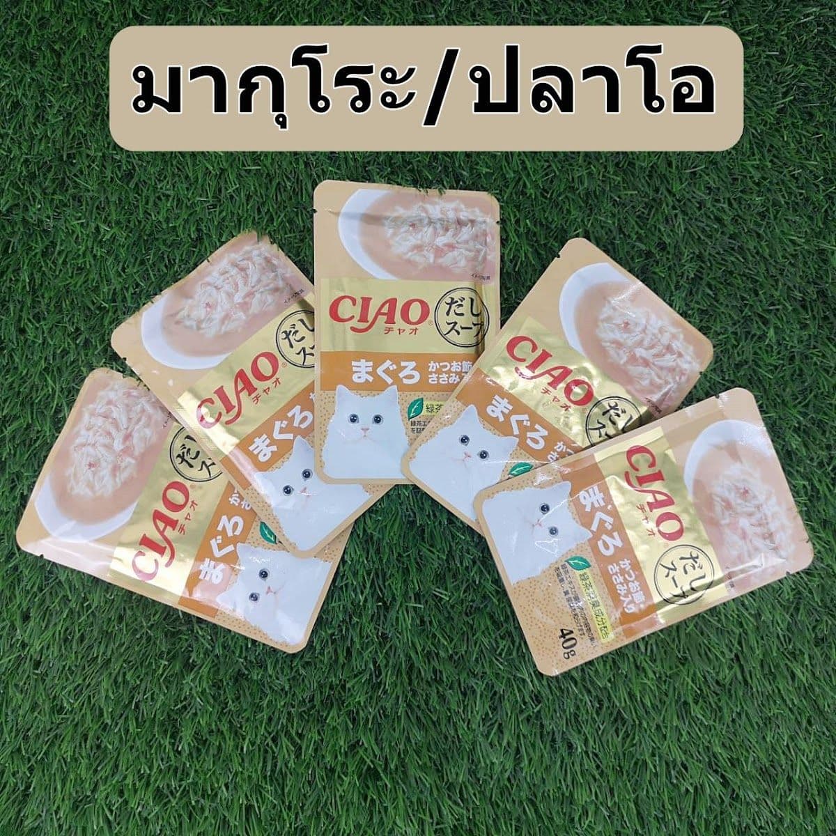 เต็งเพ็ทช็อป gallery 4